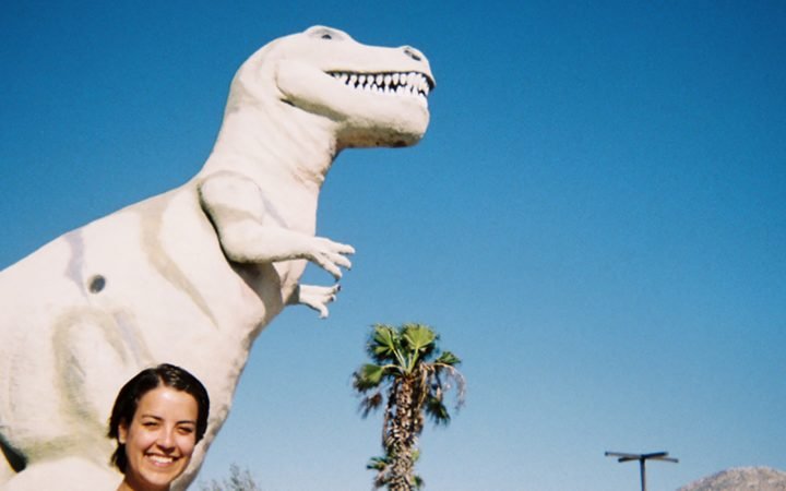 free cake for every creature