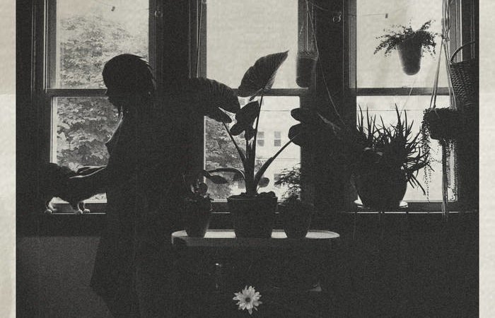 Thaddeus Anna Greene