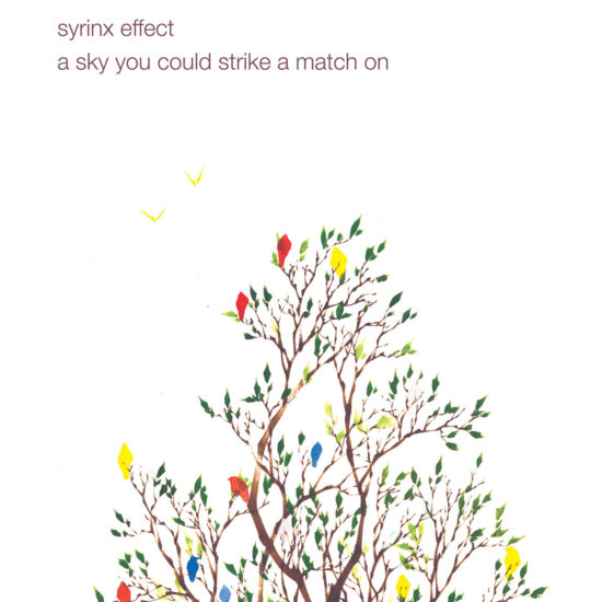 Syrinx Effect