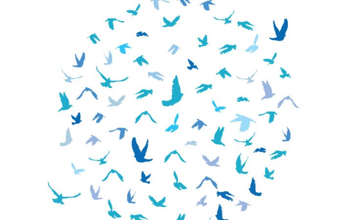 Kim DiVine Broken Bird