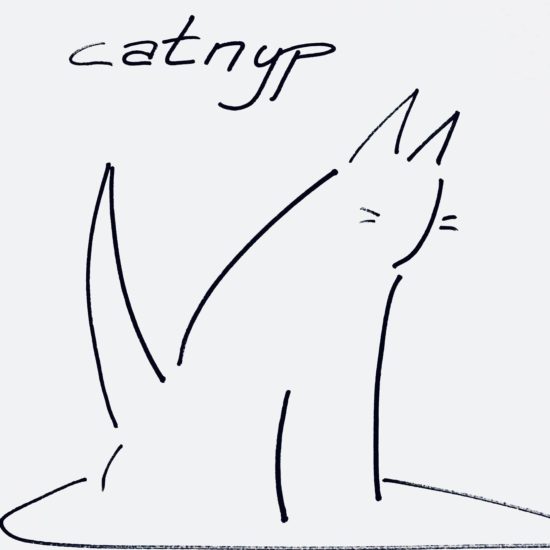 catnyp