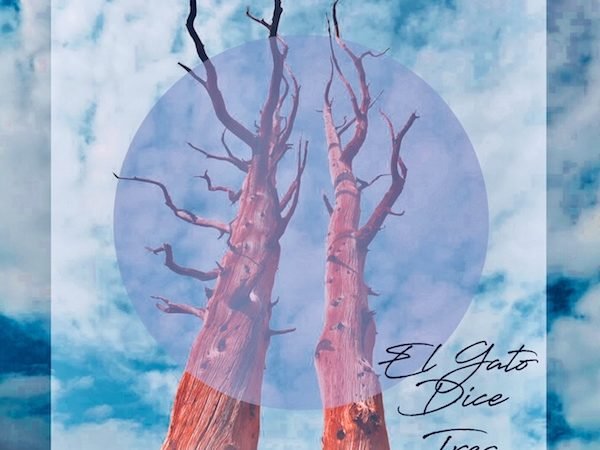 El Gato Dice
