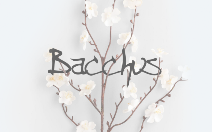 BACCHUS