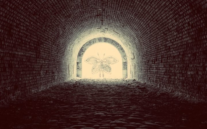 Escape by Stellar Winds