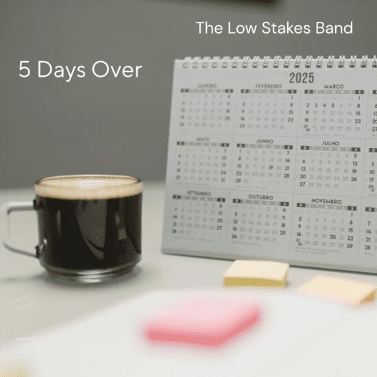 The Low Stakes Band
