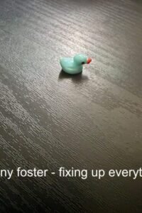 Kenny Foster